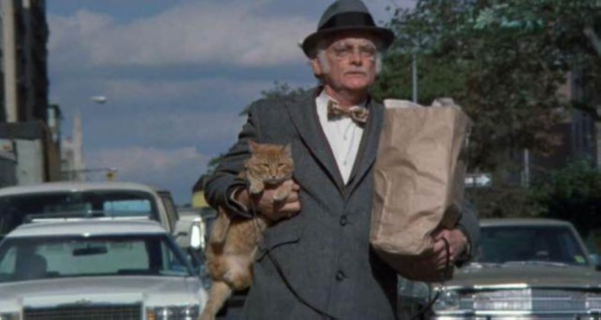 Good Live-Action Cat Movies Do&nbsp;Exist